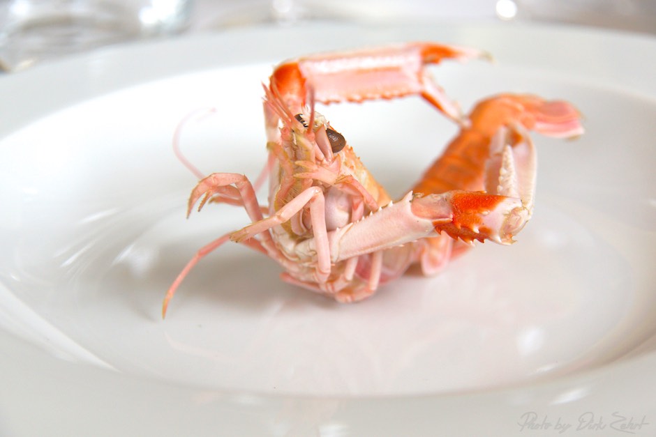 Rech Restaurant Paris - Languste