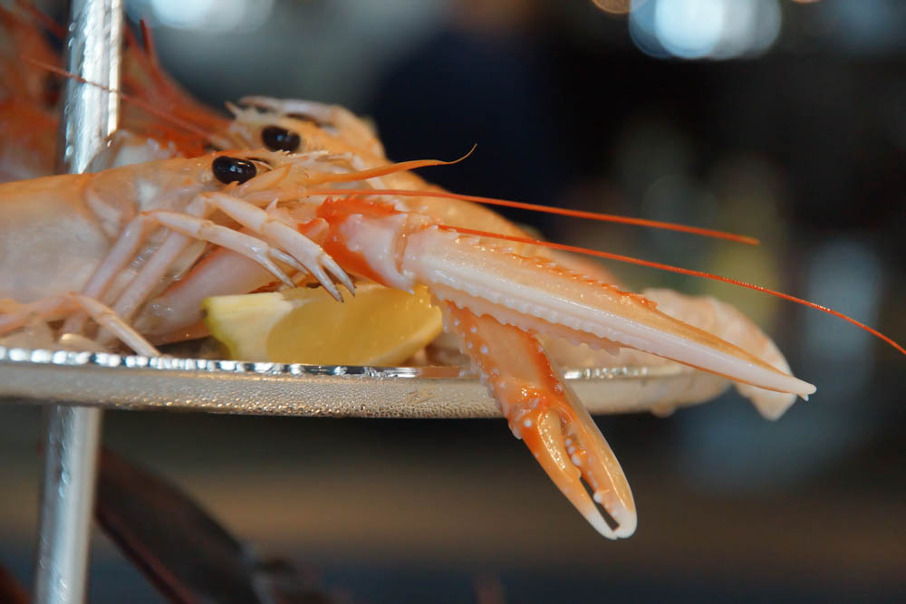 Brasserie Adriatic - Langustinen