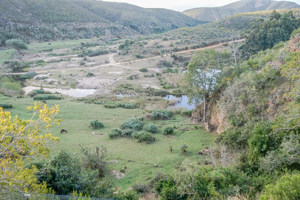 Botlierskop Game Reserve & Villas - Ausblick auf die Game Reserve