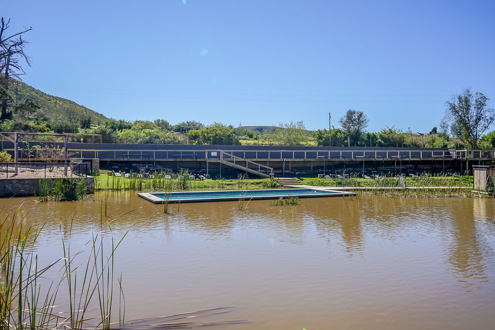 Botlierskop Game Reserve & Villas - Pool und Natursee