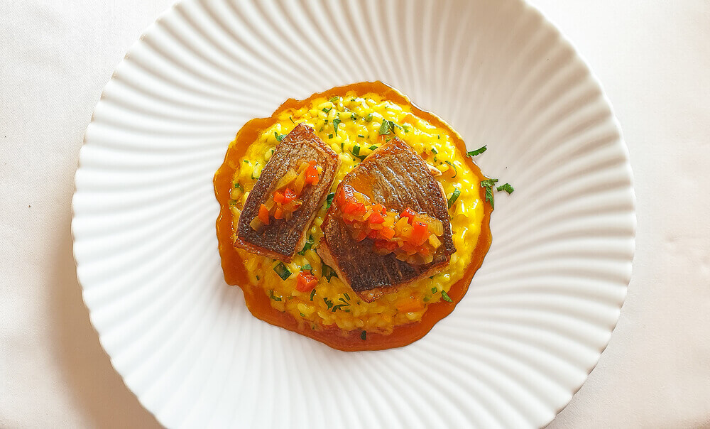 feiner Barsch und Risotto