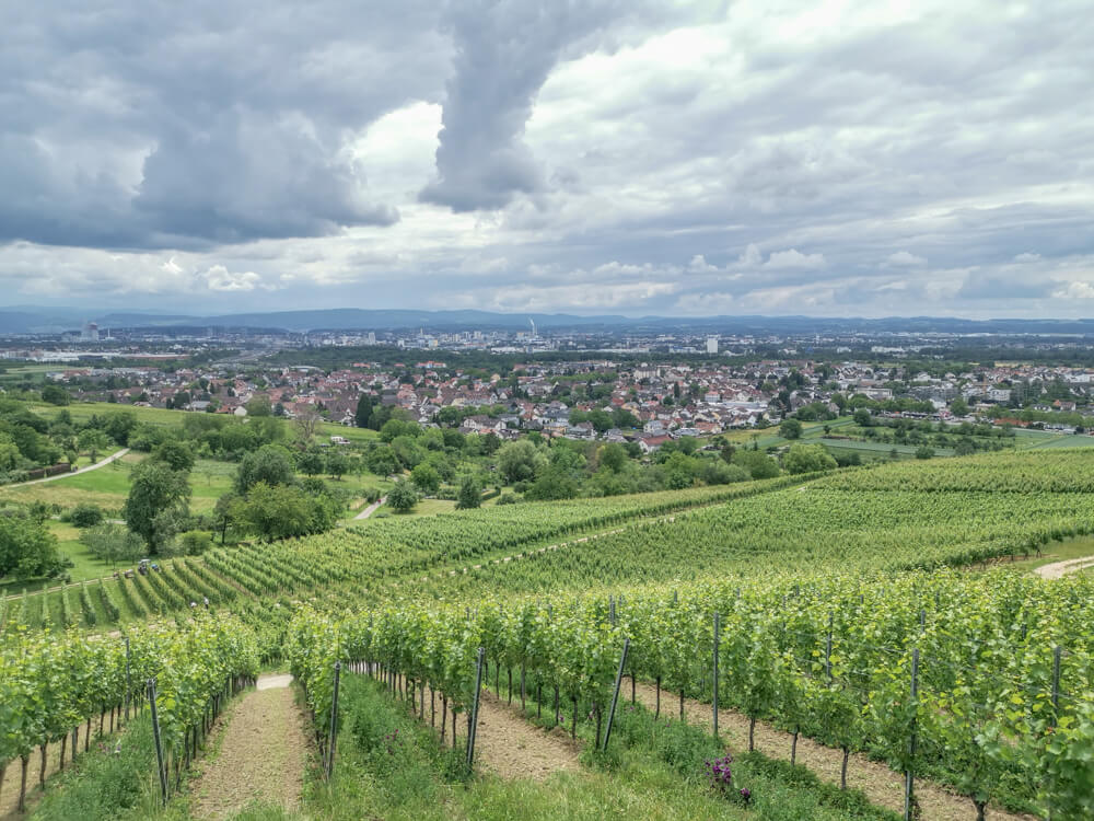 Hotel & Restaurant Krone, Weil am Rhein - prima Ausblick über die Weinberge